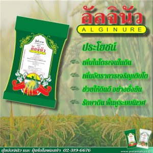 20190827_Alginure Post01