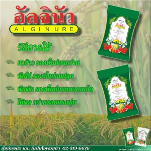 20190829_Alginure Post02V2