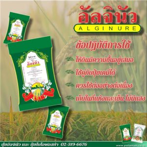 20190831_Alginure Post03